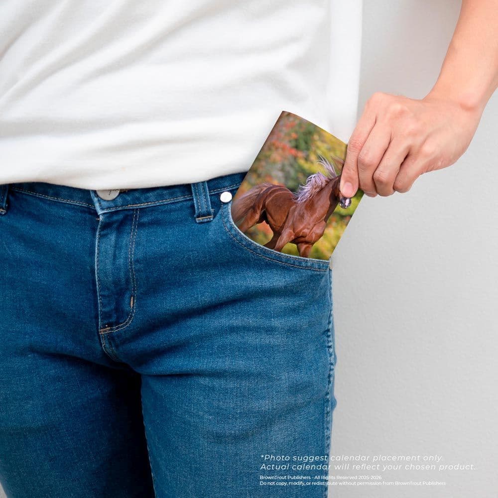 Fourth Alternate Image