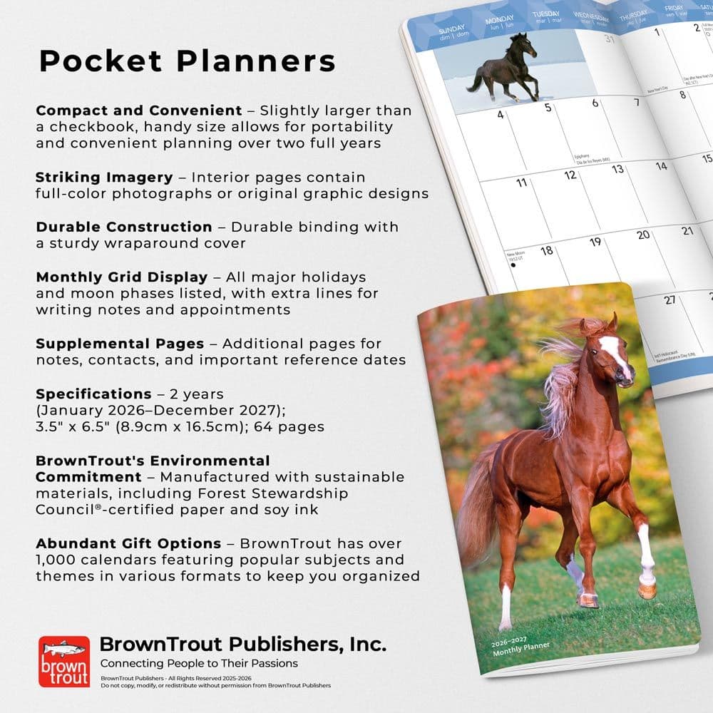 Fifth Alternate Image