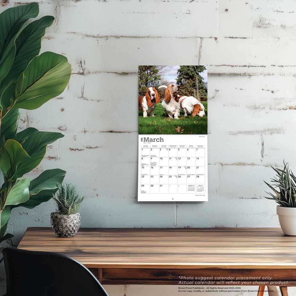 Fourth Alternate Image