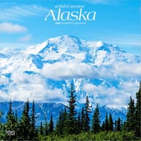 image  Main Product Image