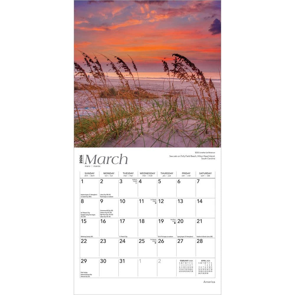 Second Alternate Image