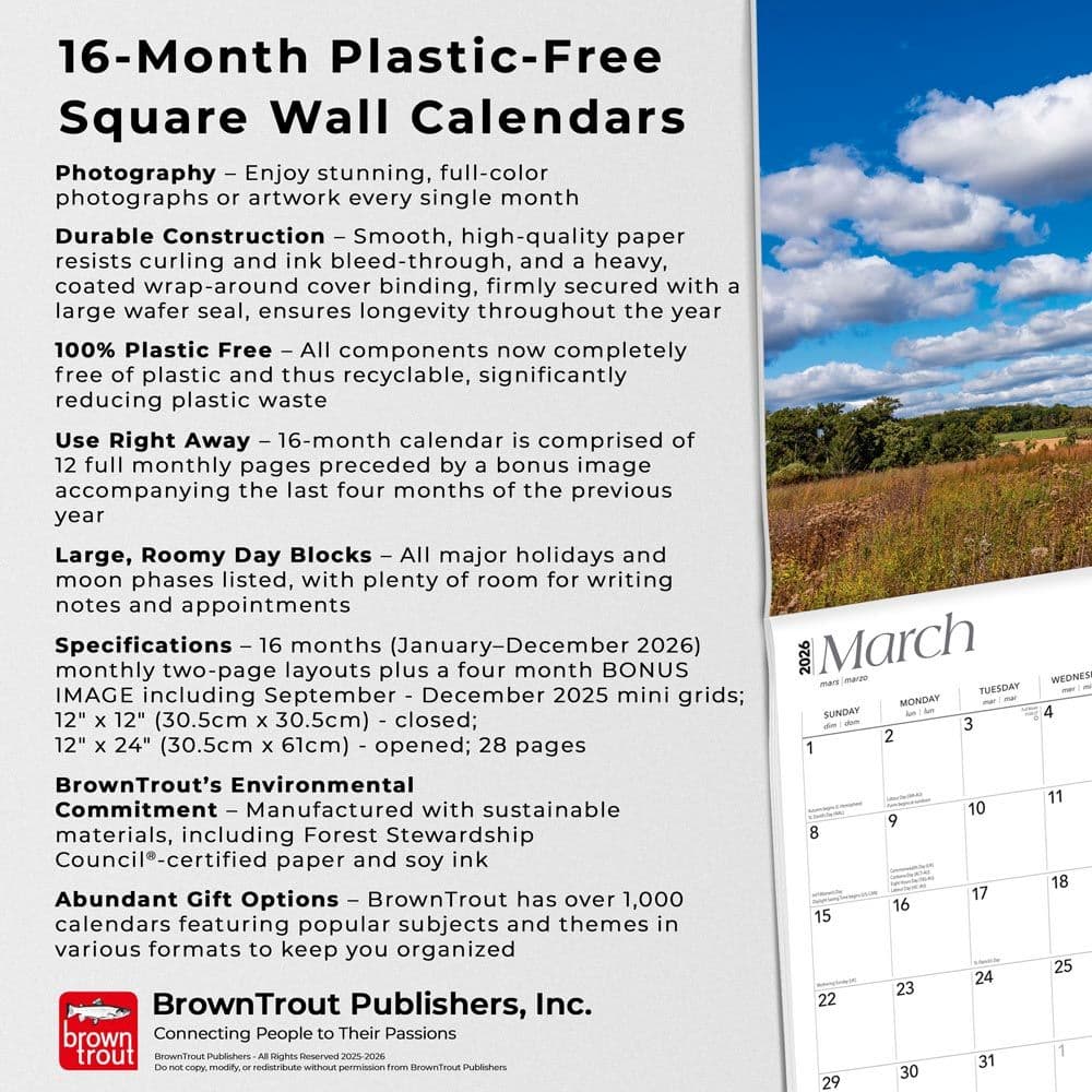 Fifth Alternate Image