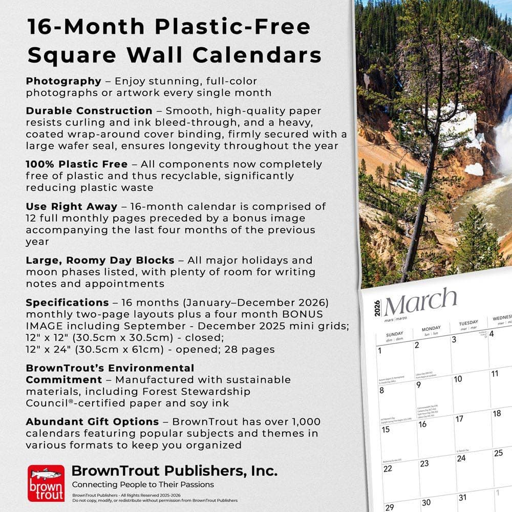 Fifth Alternate Image