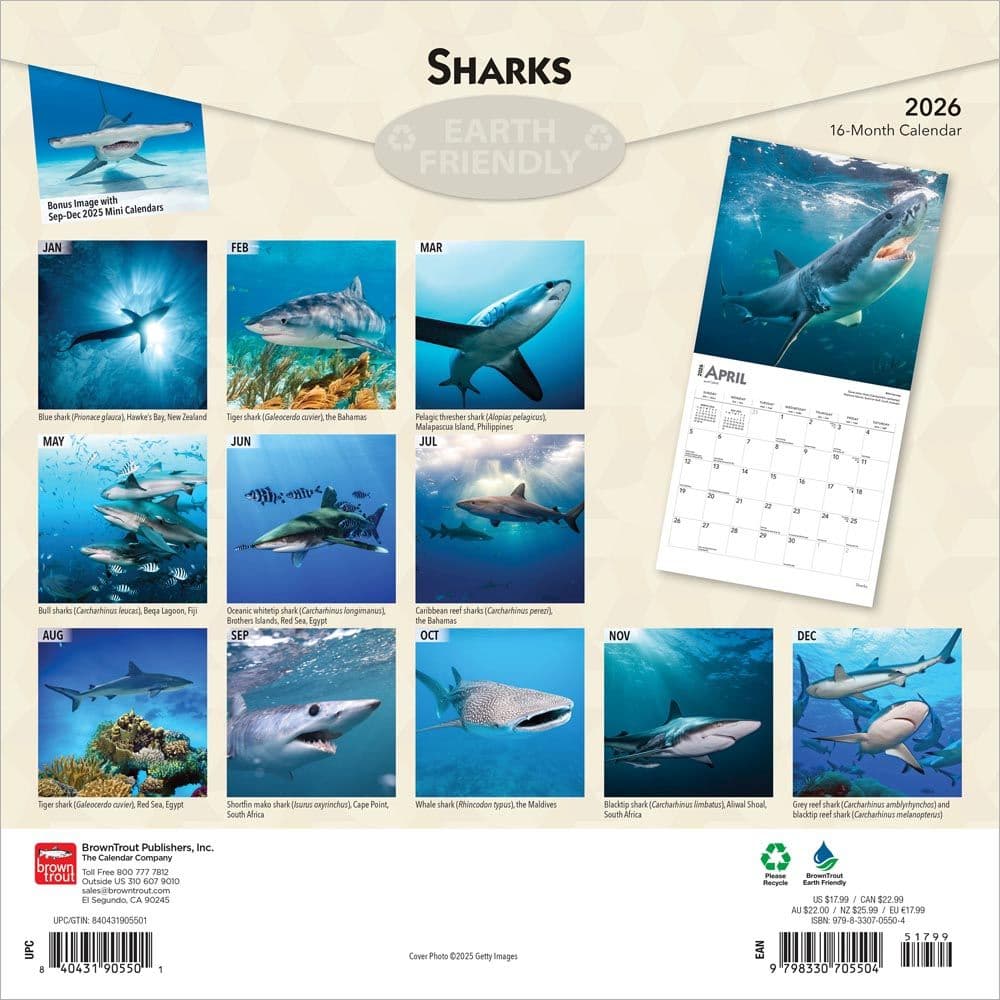 Sharks 2026 Wall Calendar First Alternate Image