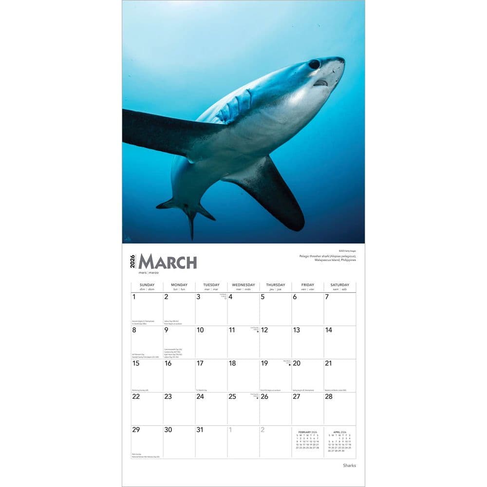 Sharks 2026 Wall Calendar Second Alternate Image