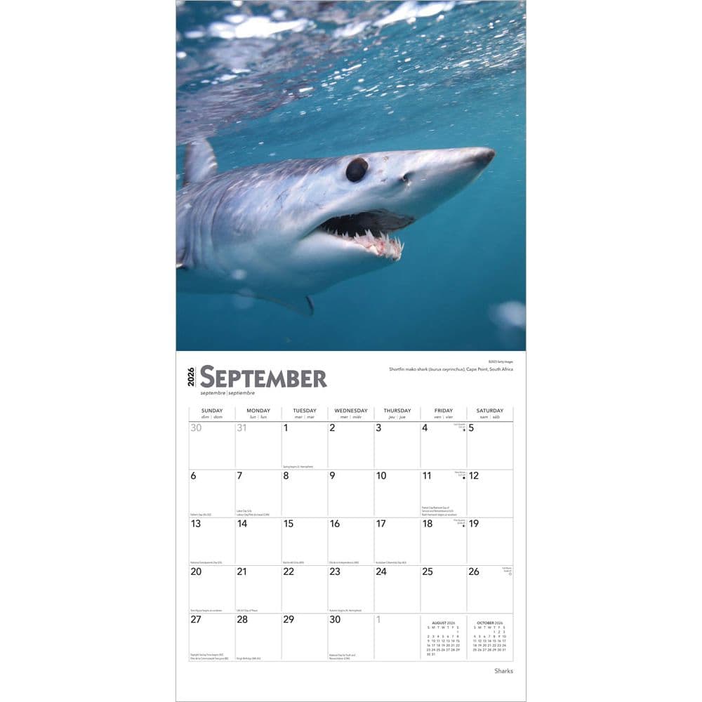 Sharks 2026 Wall Calendar Third Alternate Image