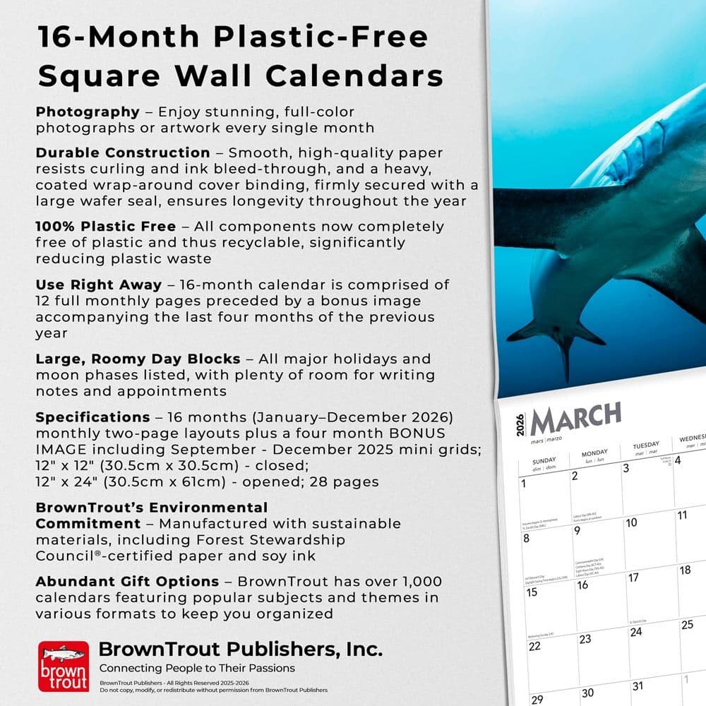 Sharks 2026 Wall Calendar Fifth Alternate Image