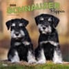 image Schnauzer Puppies 2026 Wall Calendar Main Product Image