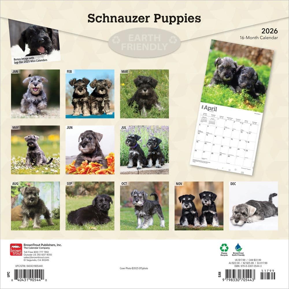 Schnauzer Puppies 2026 Wall Calendar First Alternate Image