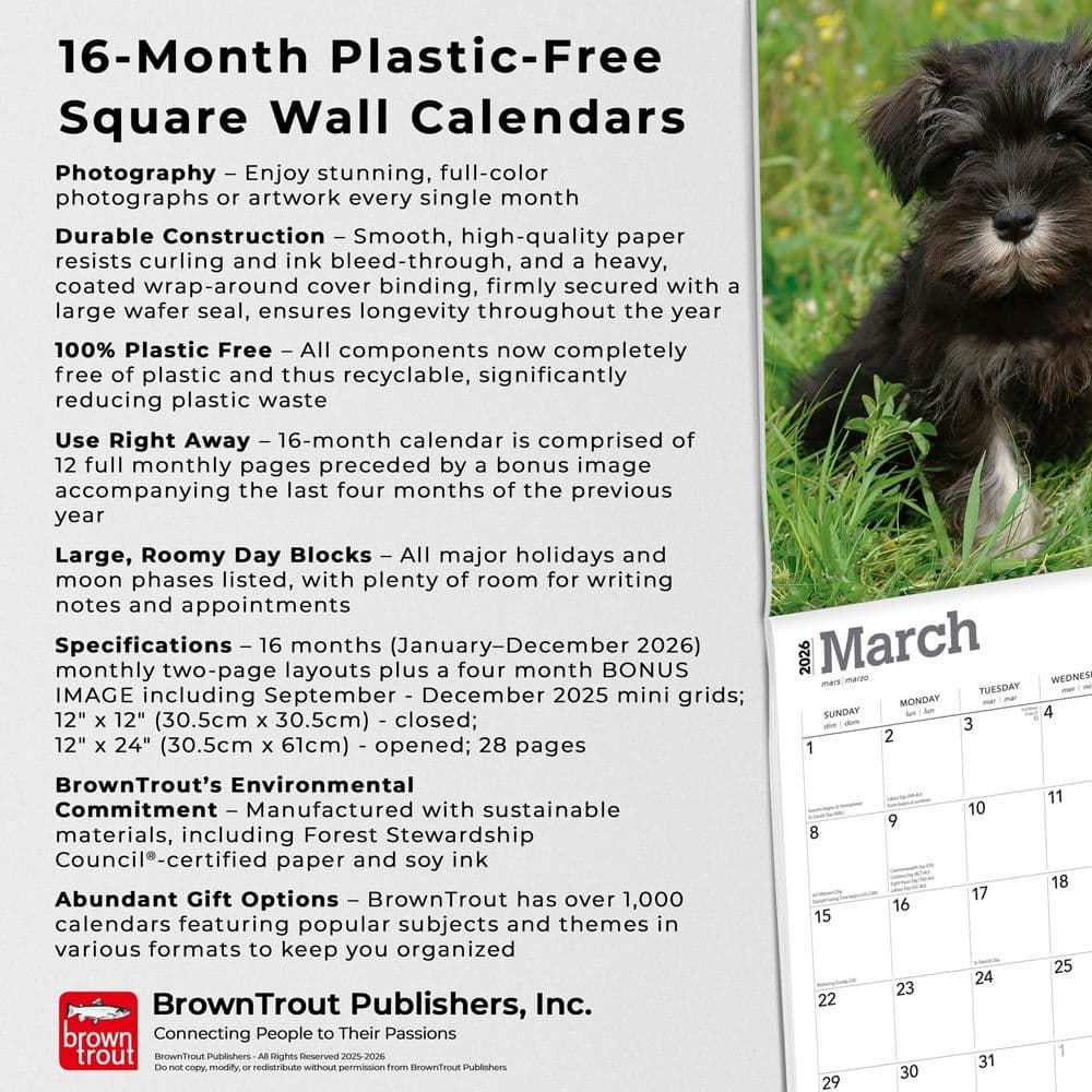 Schnauzer Puppies 2026 Wall Calendar Fifth Alternate Image