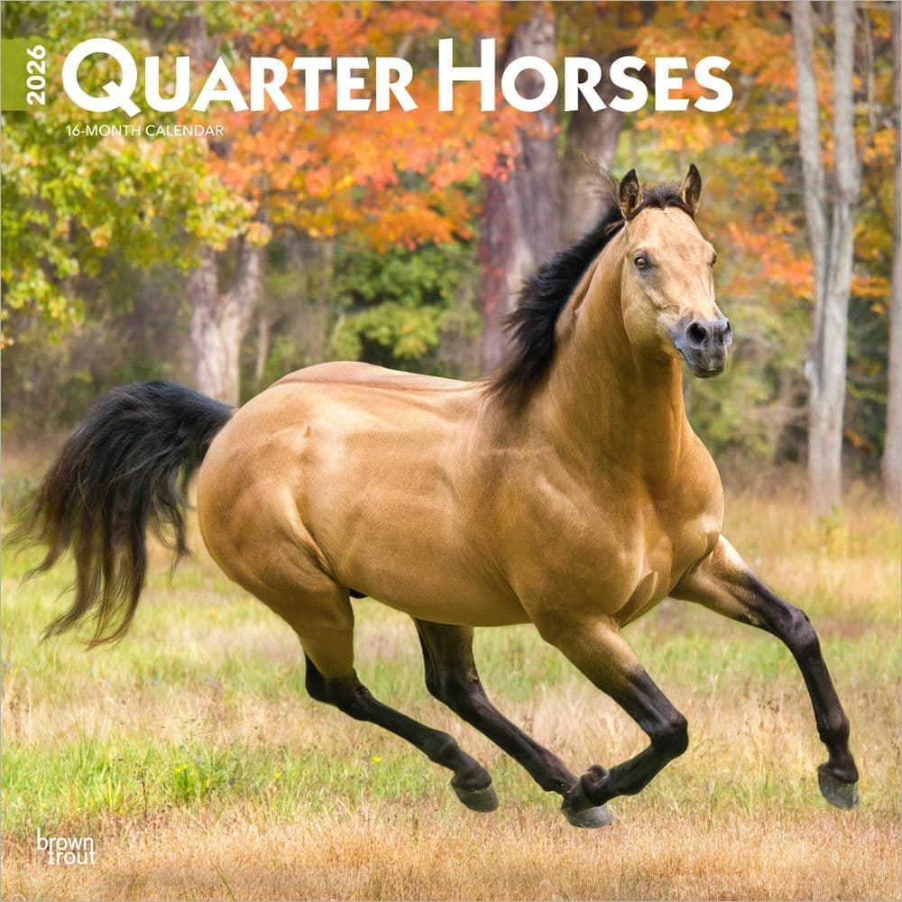Horses Quarter 2026 Wall Calendar Main Product Image