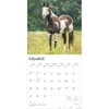 image Horses Quarter 2026 Wall Calendar Second Alternate Image