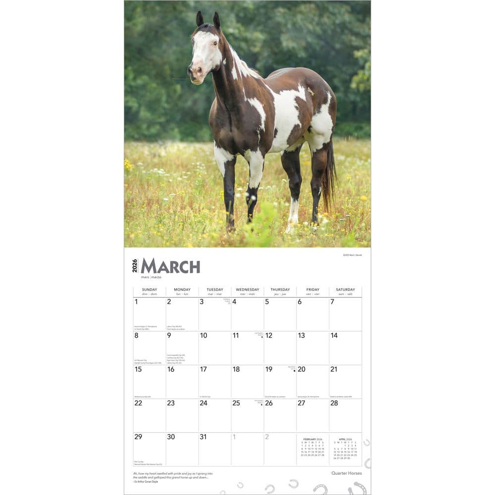 Horses Quarter 2026 Wall Calendar Second Alternate Image