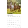 image Horses Quarter 2026 Wall Calendar Third Alternate Image