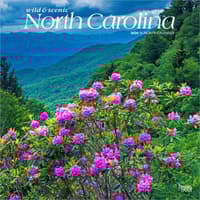 image North Carolina Nature 2026 Wall Calendar Main Product Image