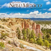 image New Mexico Wild and Scenic 2026 Wall Calendar Main Product Image