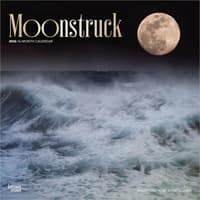 image Moons 2026 Wall Calendar Main Product Image