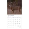 image Monster Bucks Plato 2026 Wall Calendar Second Alternate Image