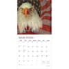 image Americas Flag Plato Foil 2026 Wall Calendar Second Alternate Image