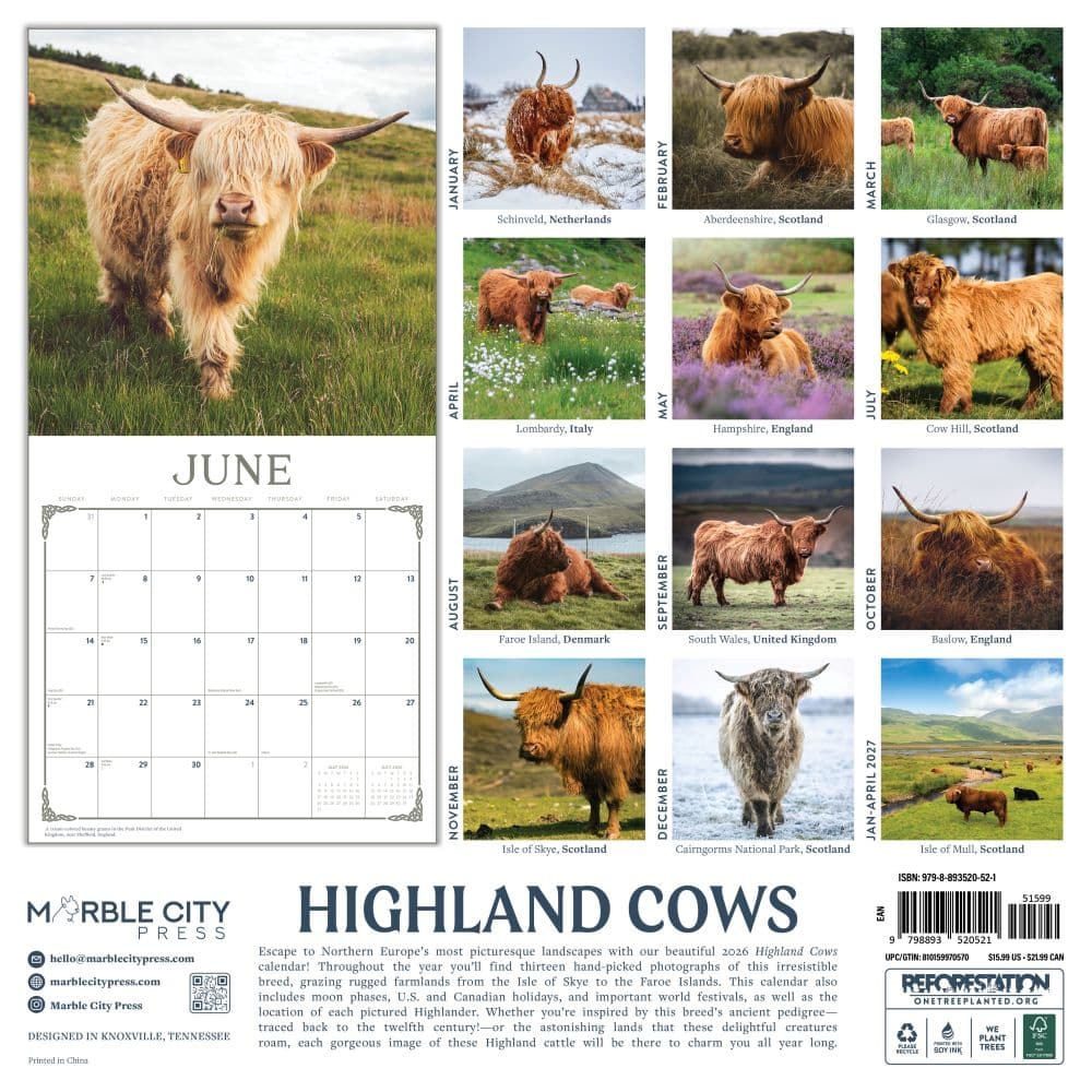Highland Cows 2026 Wall Calendar  First Alternate Image