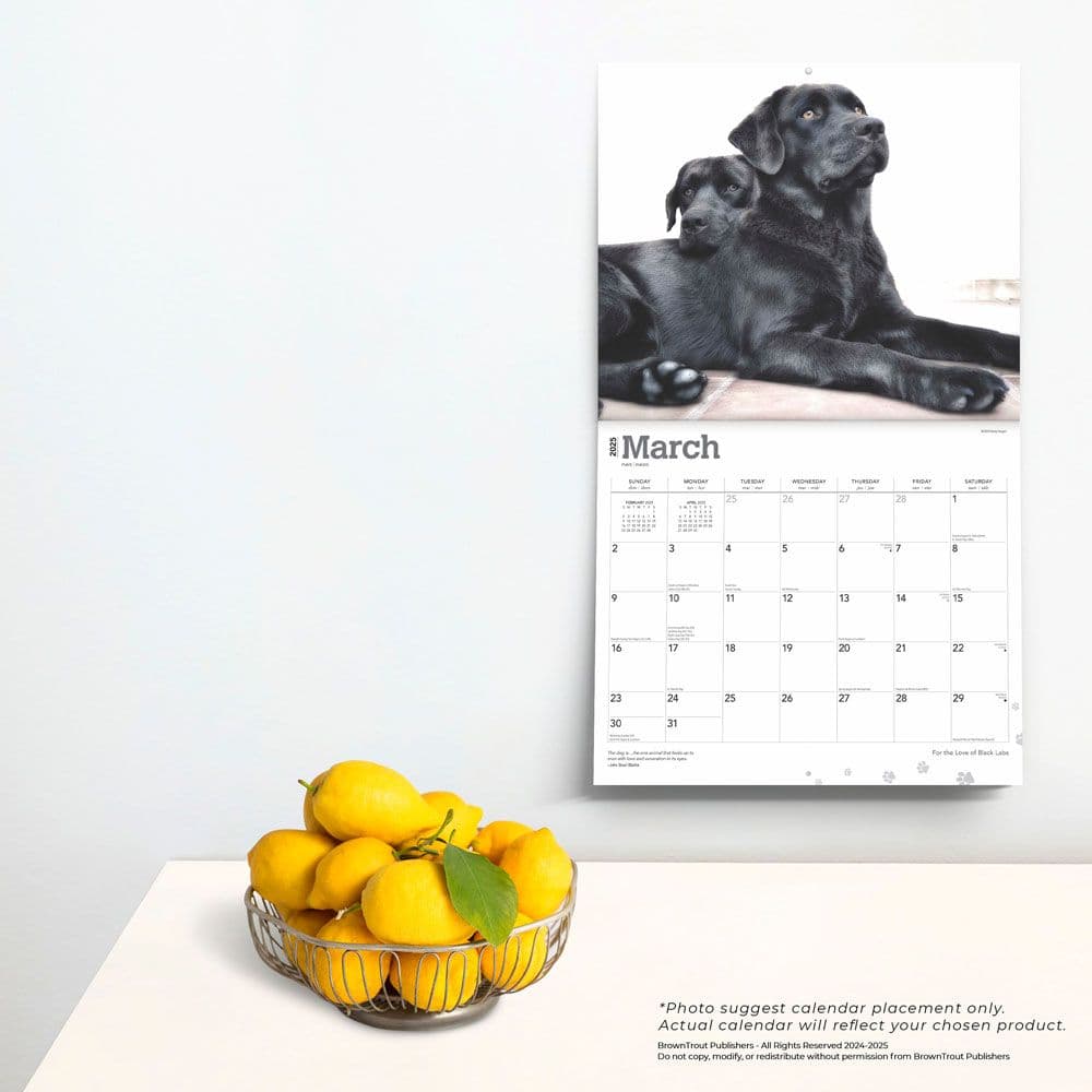 For the Love of Labrador Retrievers 2025 Wall Calendar Fourth Alternate Image width=&quot;1000&quot; height=&quot;1000&quot;