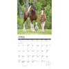 image Clydesdales Horses 2025 Wall Calendar Second Alternate Image width=&quot;1000&quot; height=&quot;1000&quot;