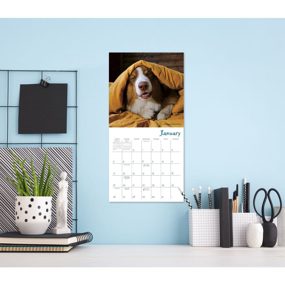 Pooped Puppies 2025 Mini Wall Calendar Fourth Alternate Image width=&quot;1000&quot; height=&quot;1000&quot;