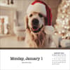 image Dogs And Puppies 2024 Desk Calendar Second Alternate Image width=&quot;1000&quot; height=&quot;1000&quot;