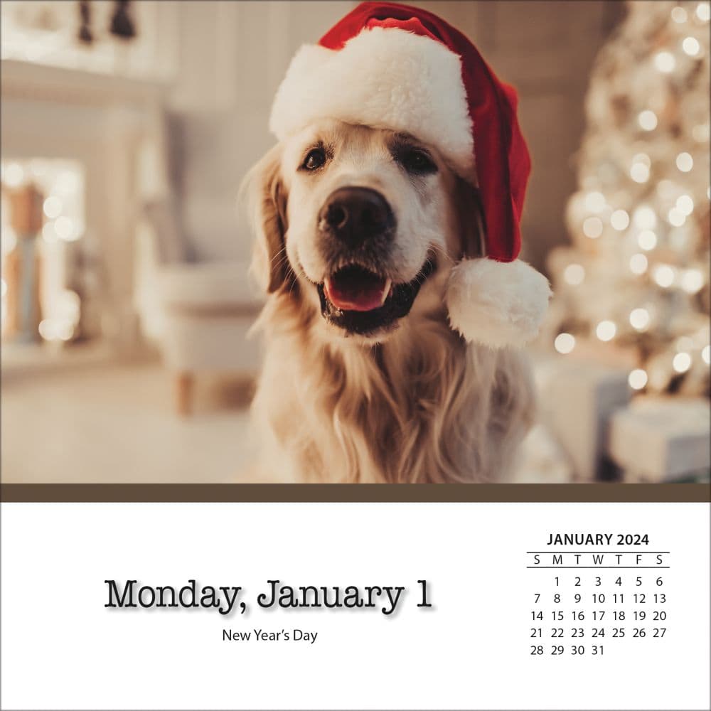 Dogs And Puppies 2024 Desk Calendar Second Alternate Image width=&quot;1000&quot; height=&quot;1000&quot;