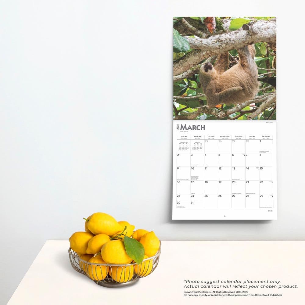 Sloths 2025 Wall Calendar Fourth Alternate Image width=&quot;1000&quot; height=&quot;1000&quot;