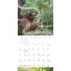 image Stoner Sloths 2025 Wall Calendar Second Alternate Image width=&quot;1000&quot; height=&quot;1000&quot;