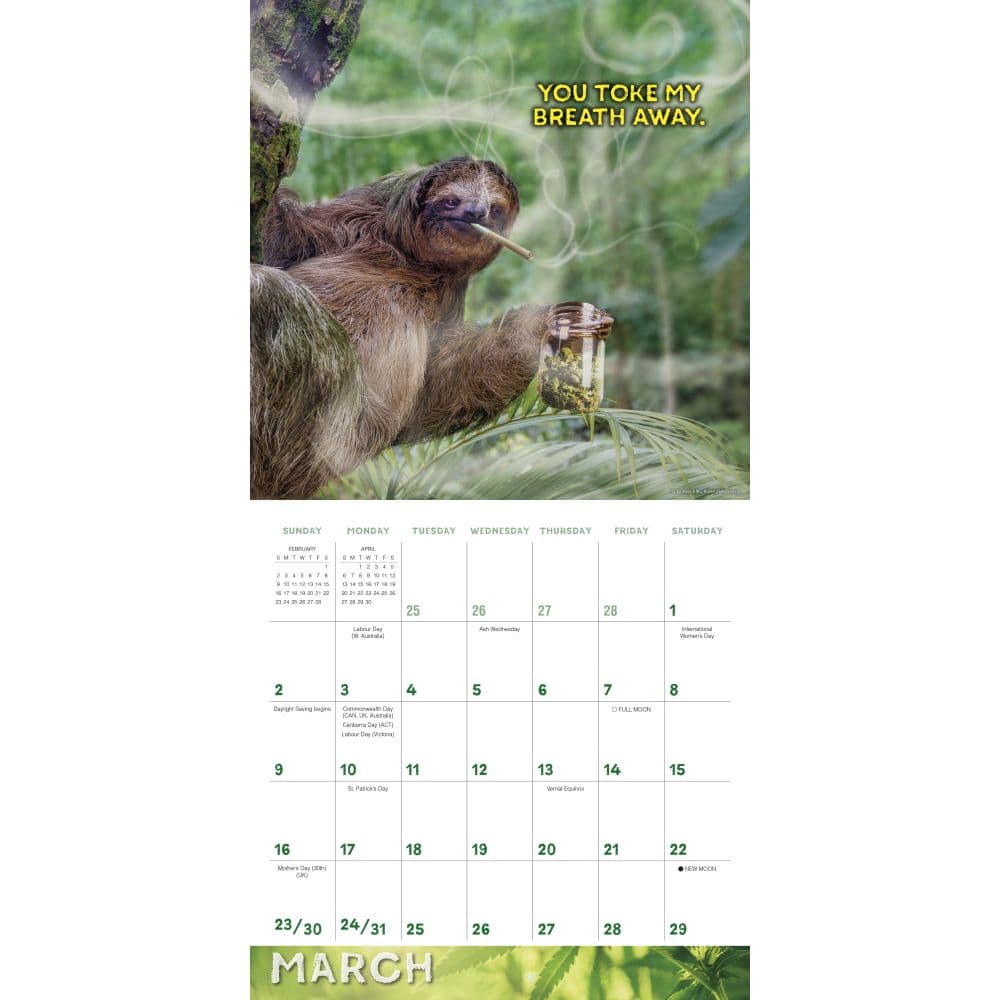 Stoner Sloths 2025 Wall Calendar Second Alternate Image width=&quot;1000&quot; height=&quot;1000&quot;