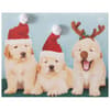 image Photo Puppies 10 Count Boxed Christmas Cards First Alternate Image width=&quot;1000&quot; height=&quot;1000&quot;