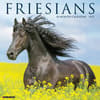 image Friesians Horses 2025 Wall Calendar Main Image
