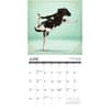 image Cow Yoga 2025 Wall Calendar