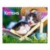 image Kittens 2025 Easel Desk Calendar Main Image