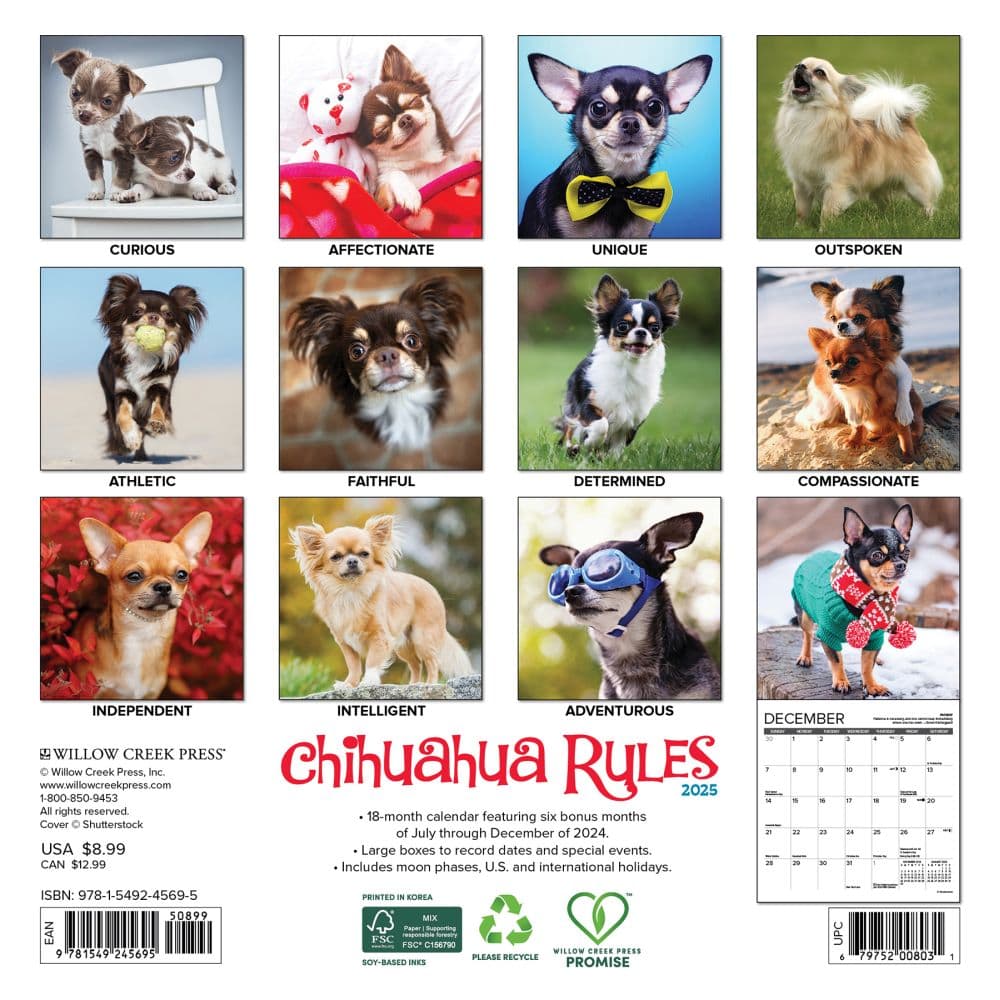 Chihuahua Rules 2025 Mini Wall Calendar First Alternate Image width=&quot;1000&quot; height=&quot;1000&quot;