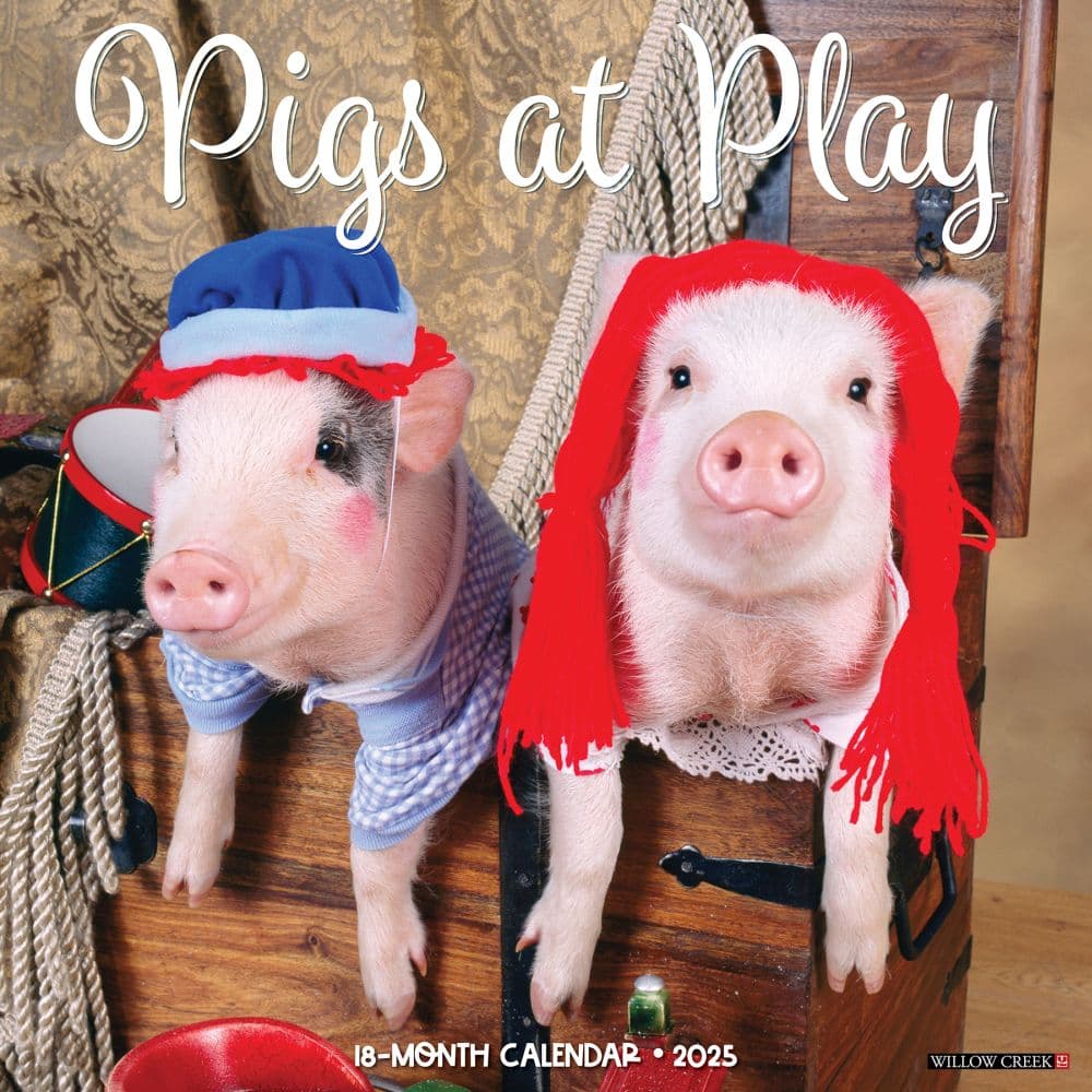 image Pigs At Play 2025 Wall Calendar  Main Image
