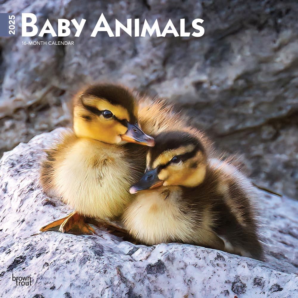 Baby Animals 2025 Wall Calendar  Main Image