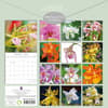image Orchids 2025 Wall Calendar First Alternate Image width=&quot;1000&quot; height=&quot;1000&quot;