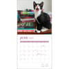image Cats and Books 2025 Wall Calendar Third Alternate Image width=&quot;1000&quot; height=&quot;1000&quot;