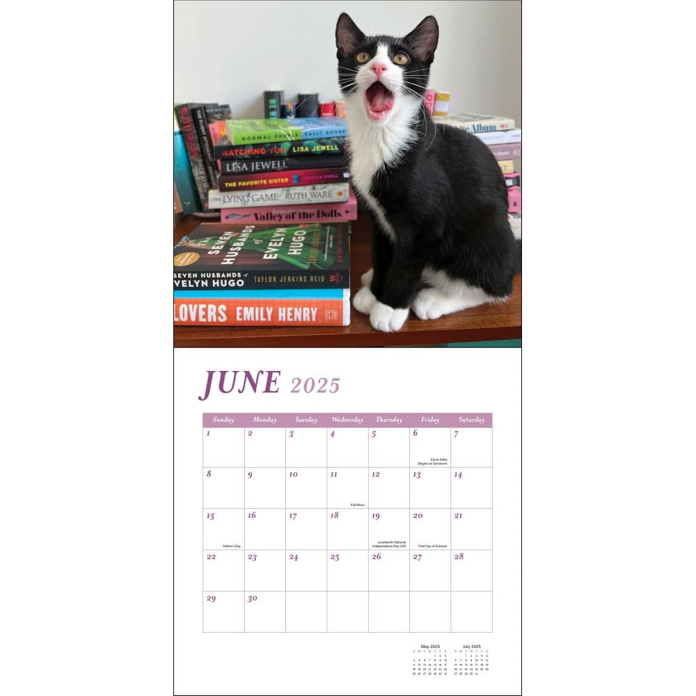 Cats and Books 2025 Wall Calendar Third Alternate Image width=&quot;1000&quot; height=&quot;1000&quot;