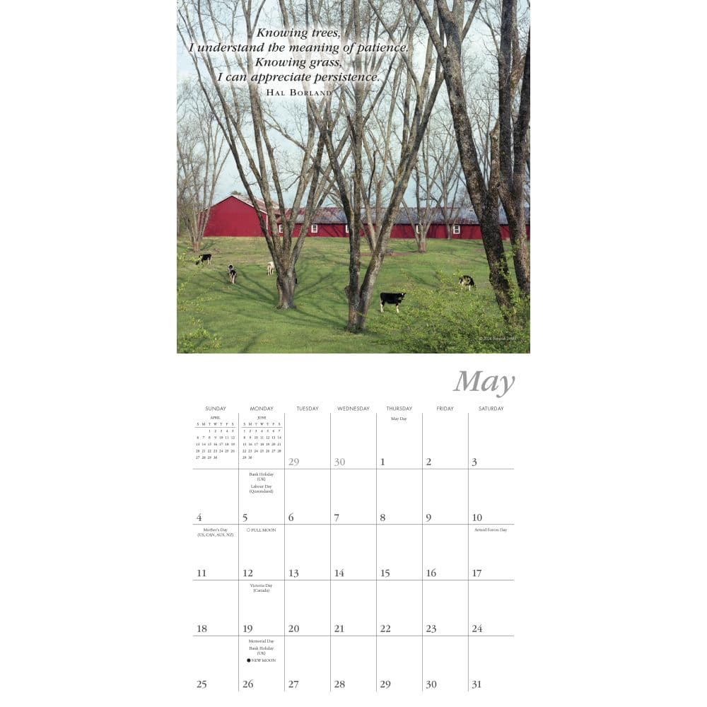 Simplicity 2025 Mini Wall Calendar by Deborah DeWit Second Alternate Image width=&quot;1000&quot; height=&quot;1000&quot;