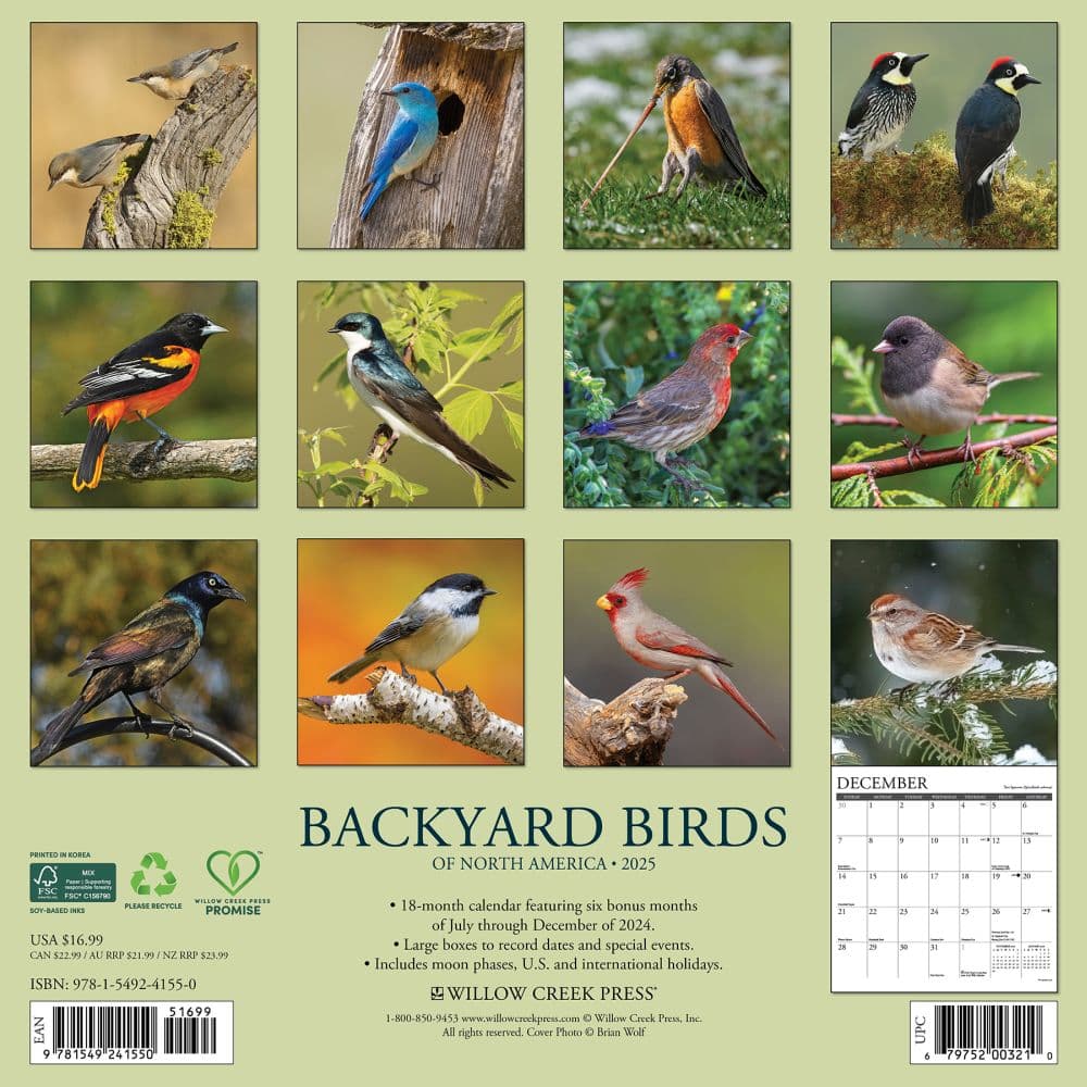 Birds Backyard 2025 Wall Calendar First Alternate Image width=&quot;1000&quot; height=&quot;1000&quot;