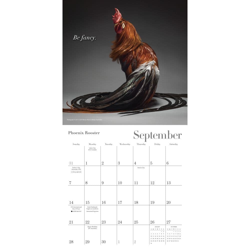 Glamour Chicks 2025 Mini Wall Calendar Third Alternate Image width=&quot;1000&quot; height=&quot;1000&quot;