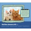 image Cats Are Cheaper Than Therapy 2025 Desk Calendar Third Alternate Image width=&quot;1000&quot; height=&quot;1000&quot;