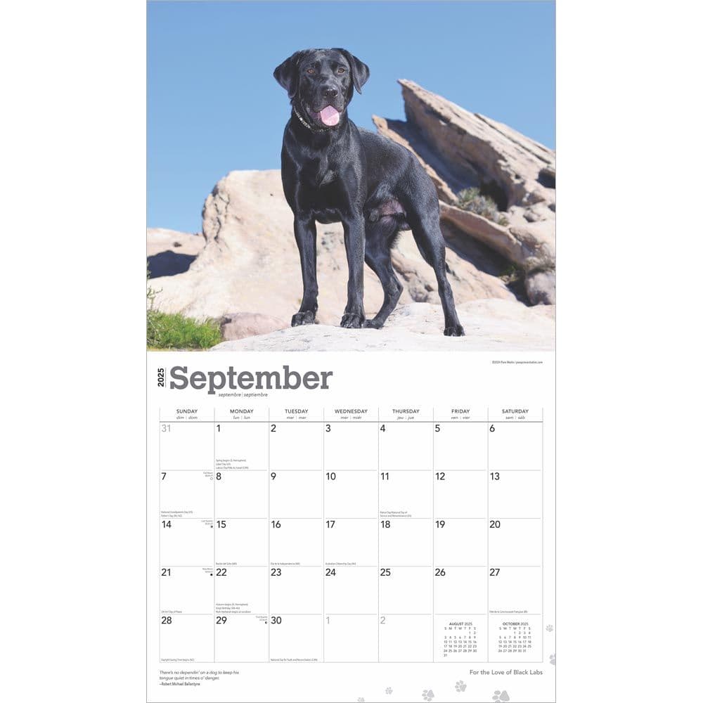 For the Love of Labrador Retrievers 2025 Wall Calendar Third Alternate Image width=&quot;1000&quot; height=&quot;1000&quot;