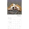 image Pooped Puppies 2025 Wall Calendar Second Alternate Image width=&quot;1000&quot; height=&quot;1000&quot;