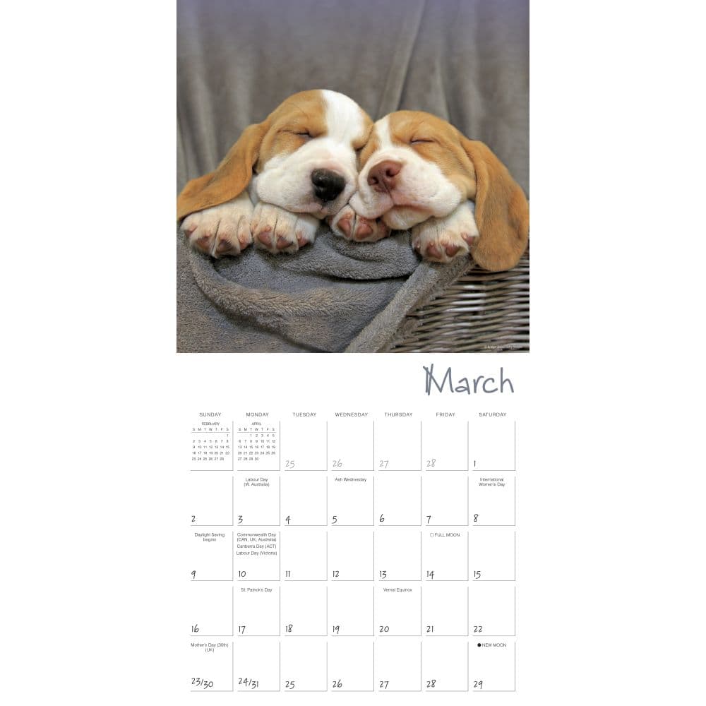 Pooped Puppies 2025 Wall Calendar Second Alternate Image width=&quot;1000&quot; height=&quot;1000&quot;