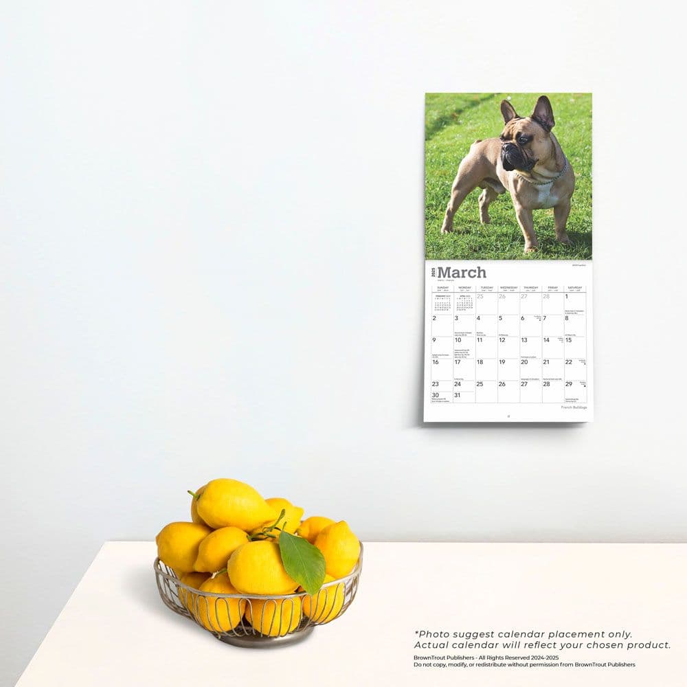 French Bulldogs 2025 Mini Wall Calendar Fourth Alternate Image width=&quot;1000&quot; height=&quot;1000&quot;
